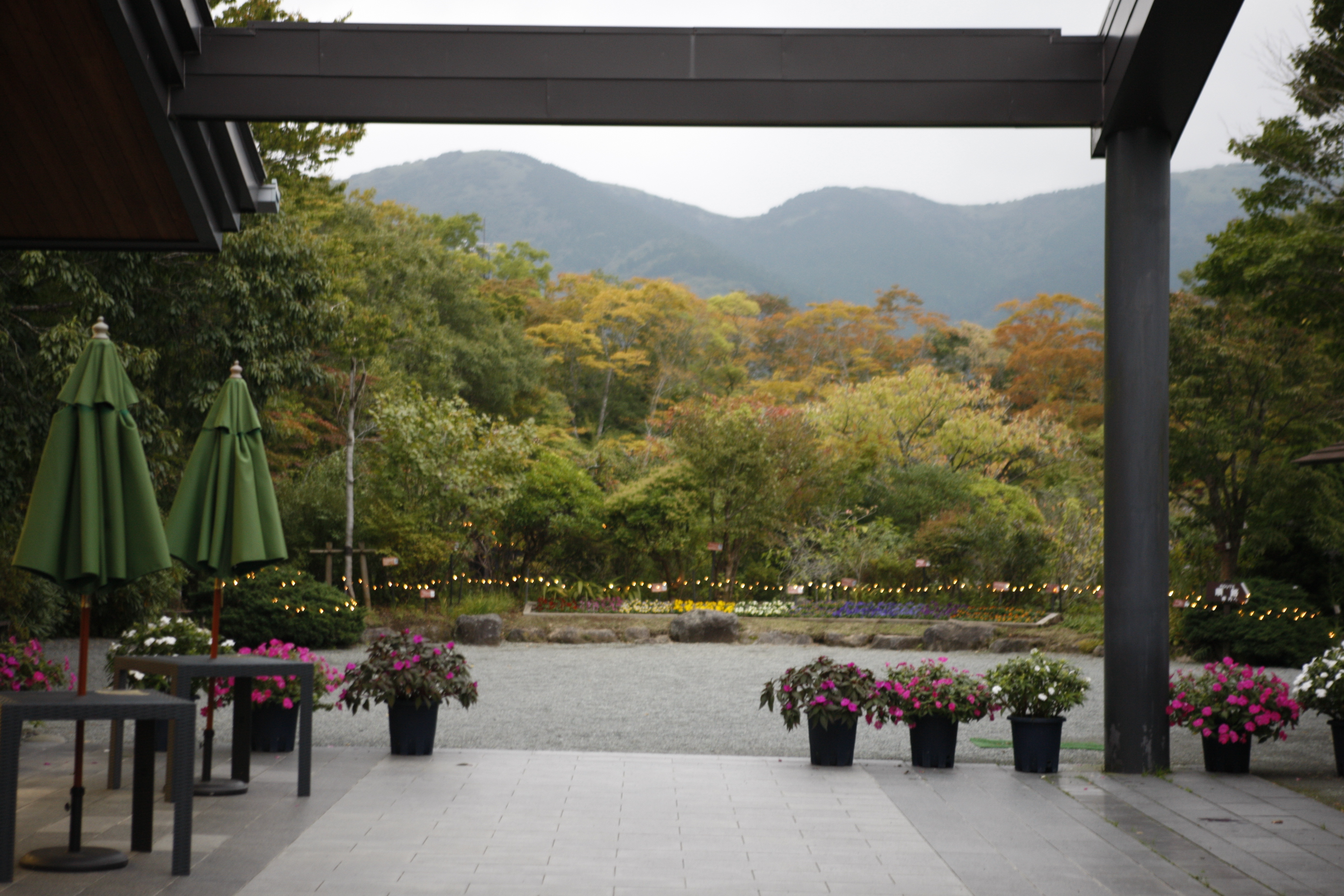 箱根湿性花園