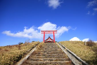 【箱根 駒ヶ岳ロープウェー】絶景の神社まで7分間の空中散歩